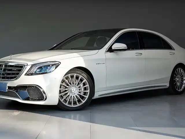 Mercedes-Benz S-Class 2014 AMG S 65 L