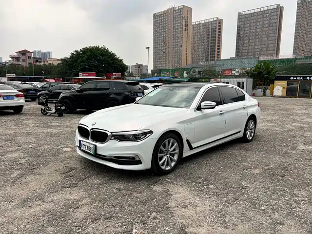 BMW 5-Series 2019 530 Le