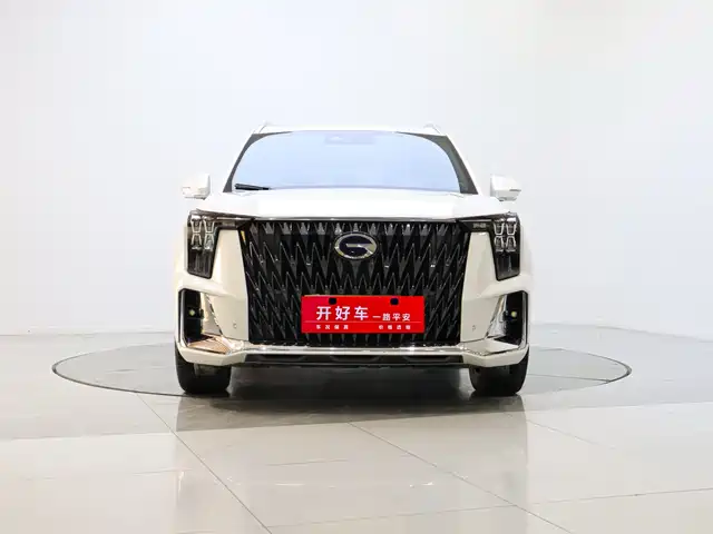 Trumpchi GS8 2024 2.0 TM 2 WD