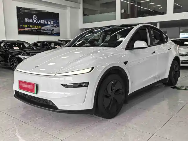 Tesla Model 2025