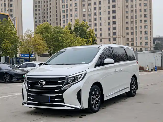 Trumpchi M8 2023 390 T