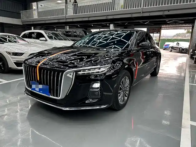 Hongqi H5 2025 2.0 T AT