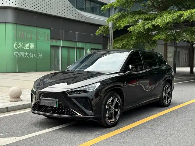 Neta L 2024 EREV 310