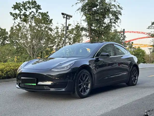 Tesla Model 3 2020