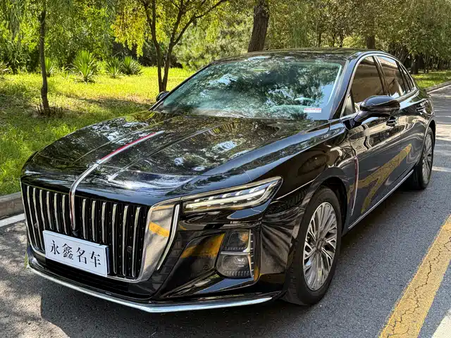 Hongqi H 5 2023 2.0 T AT