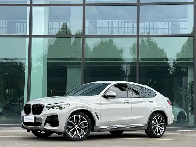 BMW X 4 2019 x Drive 25i M