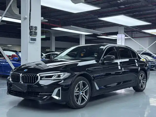 BMW 5-Series 2022 530 Li Leading