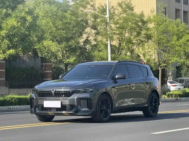 Voyah FREE 2025 318 318km