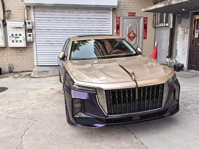 Hongqi H 9 2025 2.0 T 2 WD 5