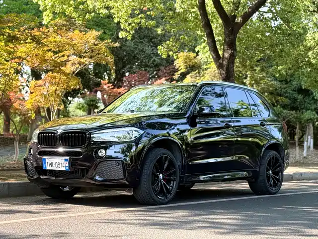 BMW X 5 2018 x Drive 35i MSport