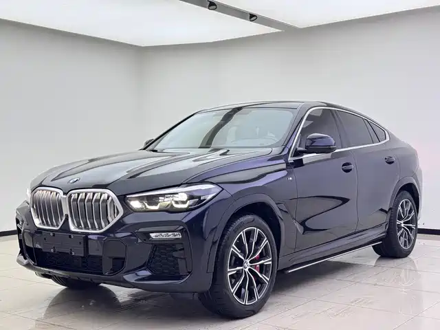 BMW X 6 2020 x Drive 30i M