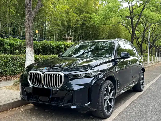 BMW X5 2023 x Drive 30 Li M