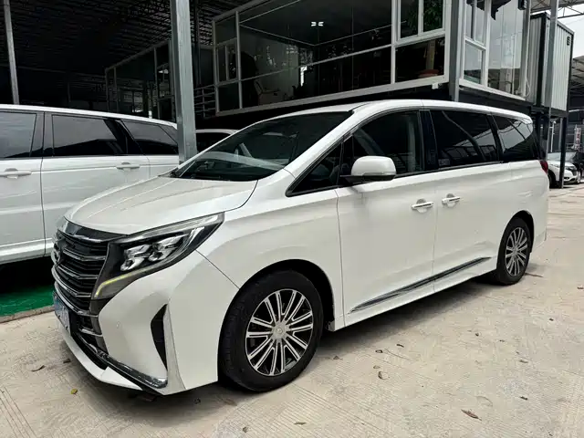 Trumpchi M 8 2021 390 T