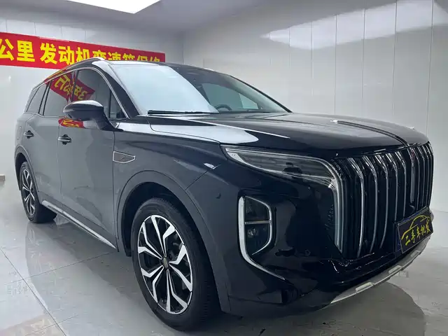 Hongqi HS 7 2023 2.0 T AT 4 WD