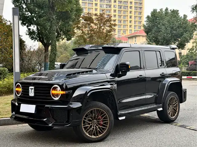 Tank 300 2024 2.0 T