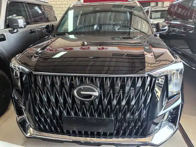 Trumpchi GS8 2022 2.0 TM 2 WD ( )