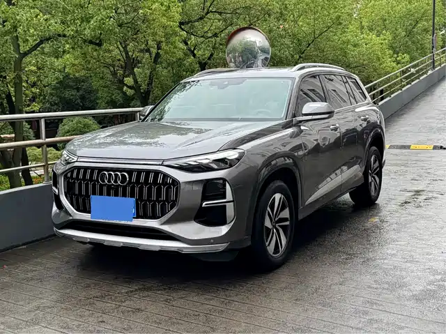 Audi Q 6 2023 40 TFSI quattro Light
