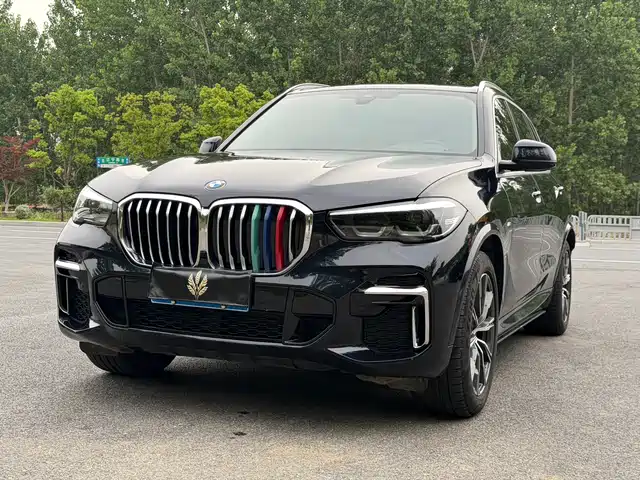 BMW X5 2022 x Drive 30 Li M