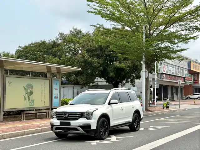 Trumpchi GS8 2017 320 T 2 WD ( )