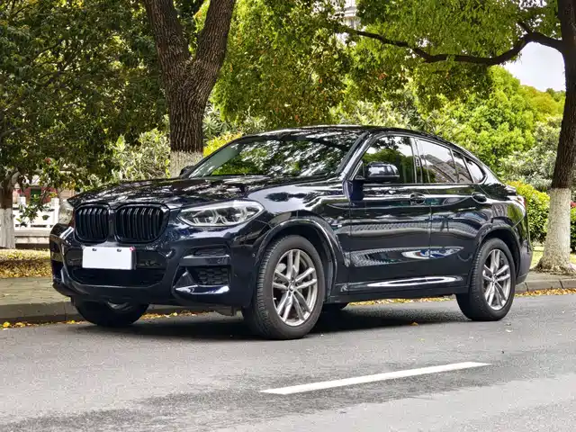 BMW X4 2020 x Drive 25i M