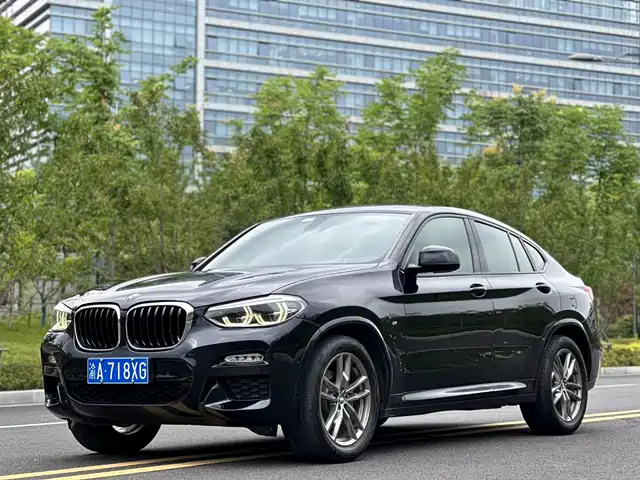 BMW X 4 2019 x Drive 25i M