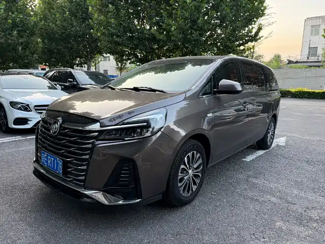 Buick GL 8 2021 652 T Luxury