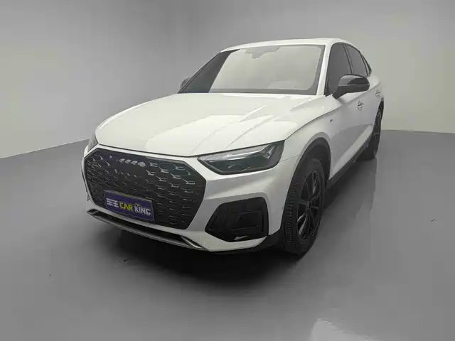 Audi Q5L Sportback 2021 40 TFSI Luxury