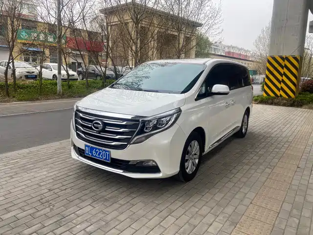 Trumpchi M8 2018 320 T