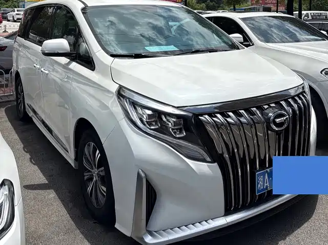 Trumpchi M 8 2020 390 T