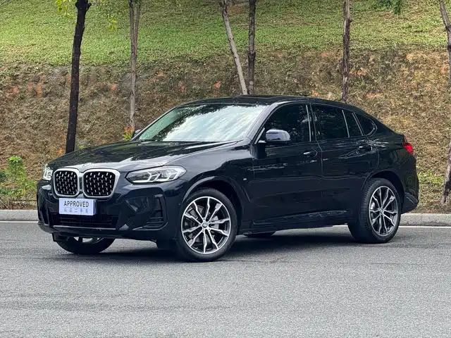 BMW X 4 2022 x Drive 30i M