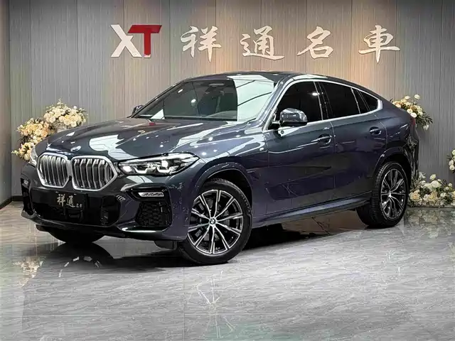 BMW X 6 2021 x Drive 30i M