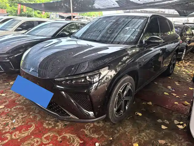Neta L 2024 EREV 310