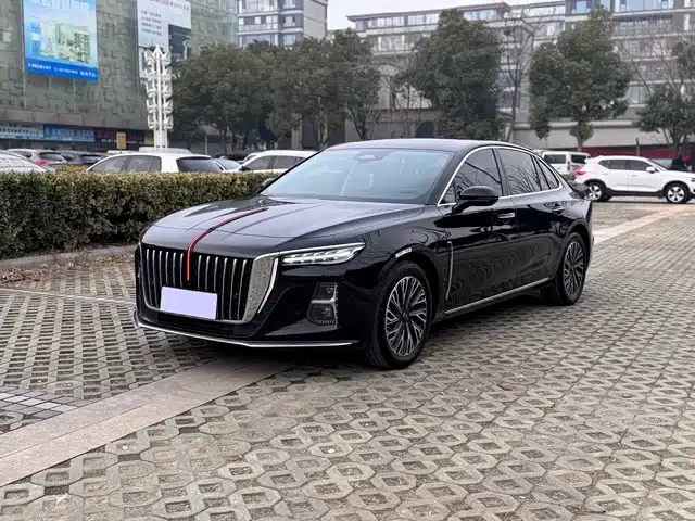 Hongqi H5 2024 2.0 T AT