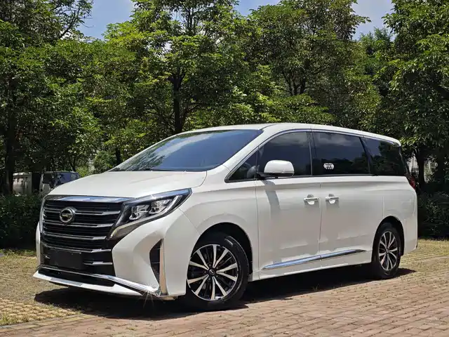 Trumpchi M 8 2021 390 T