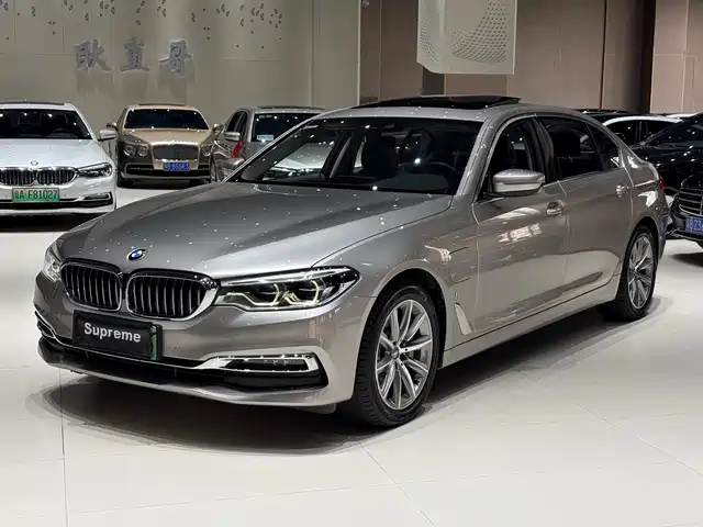 BMW 5-Series 2019 530 Le
