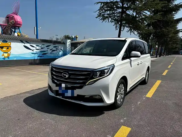 Trumpchi M8 2018 320 T