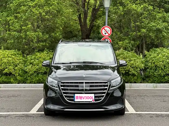Mercedes-Benz V-Class 2024 V 300 L
