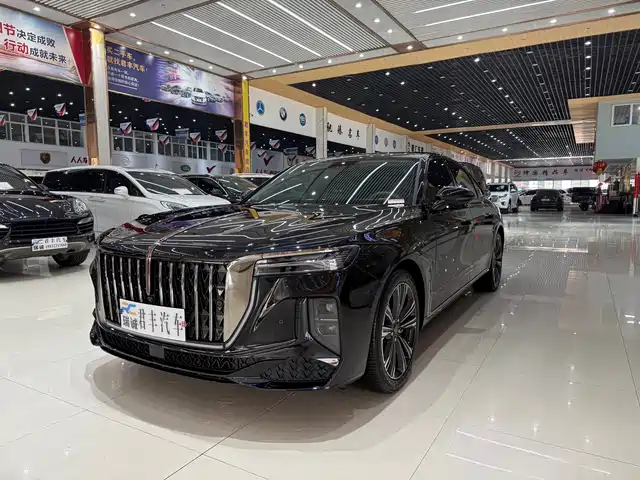 Hongqi H9 2024 2.0 T