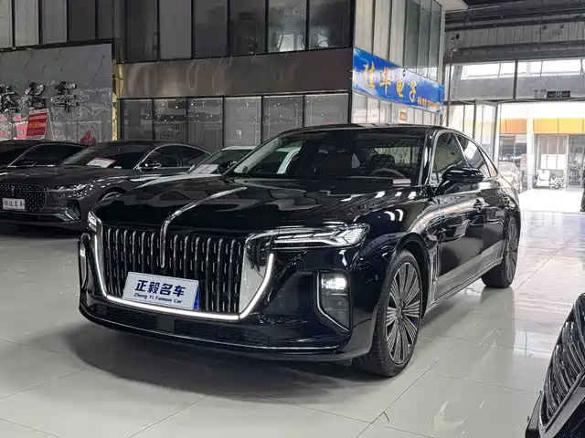 Hongqi H 9 2025 2.0 T 2 WD 5