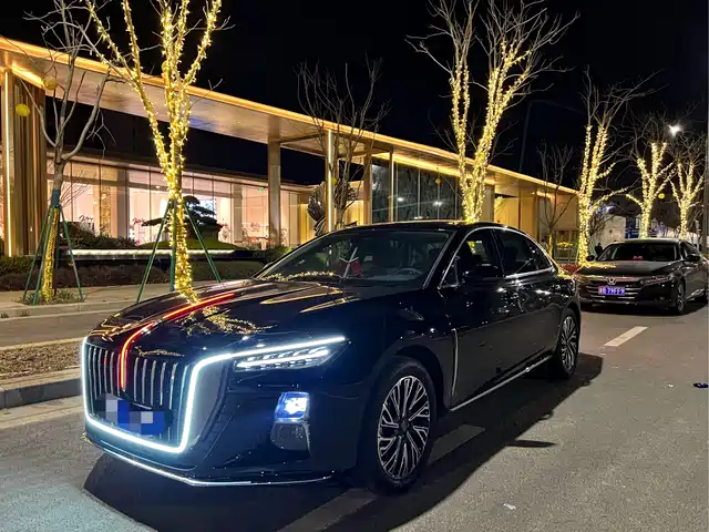 Hongqi H5 2024 2.0 T AT