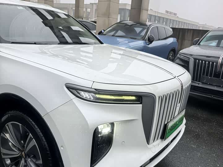 Hongqi E-HS 2021 460km — фото 19