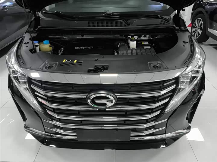 Trumpchi M8 2023 390 T — фото 16