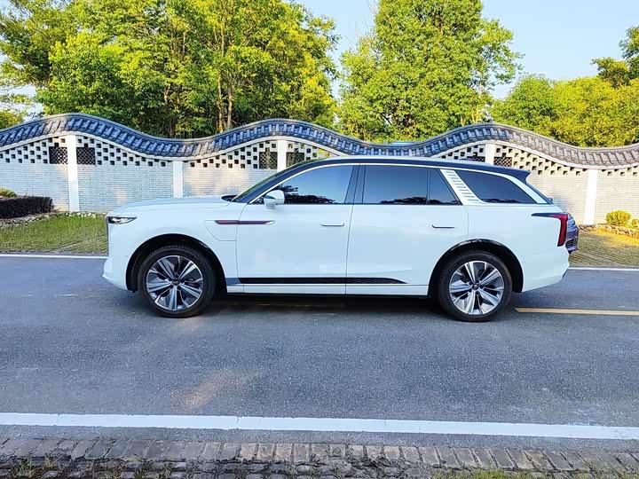 Hongqi E-HS 2021 460km — фото 3