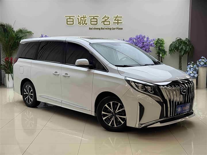 Trumpchi M8 2023 390 T — фото 4