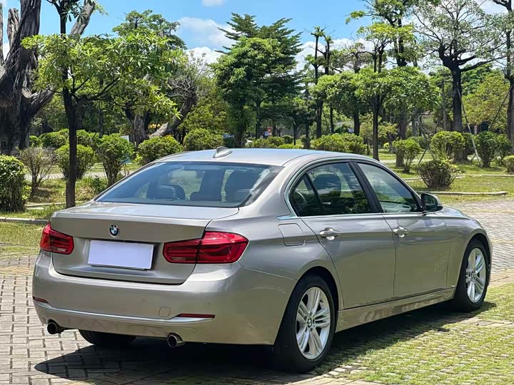 BMW 3 Series 320Li стиль — фото 9