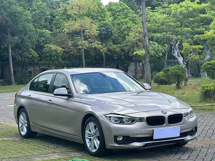BMW 3 Series 320Li стиль — фото 3