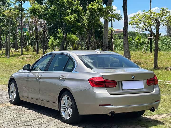 BMW 3 Series 320Li стиль — фото 11