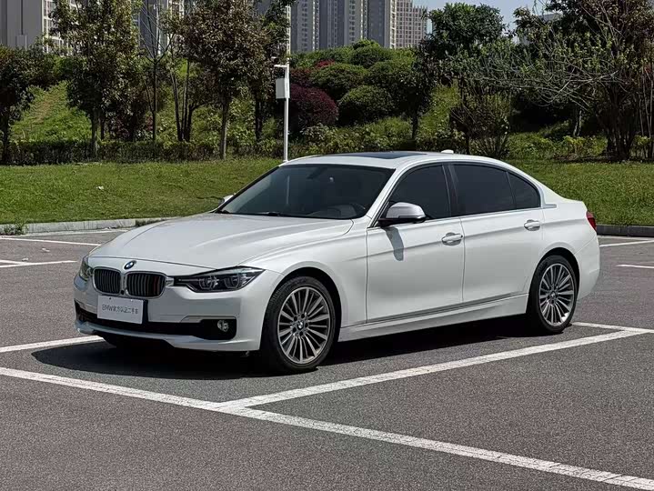 BMW 3-Series 2019 320 Li — фото 1