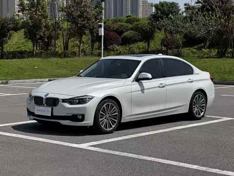 BMW 3-Series 2019 320 Li — фото 15