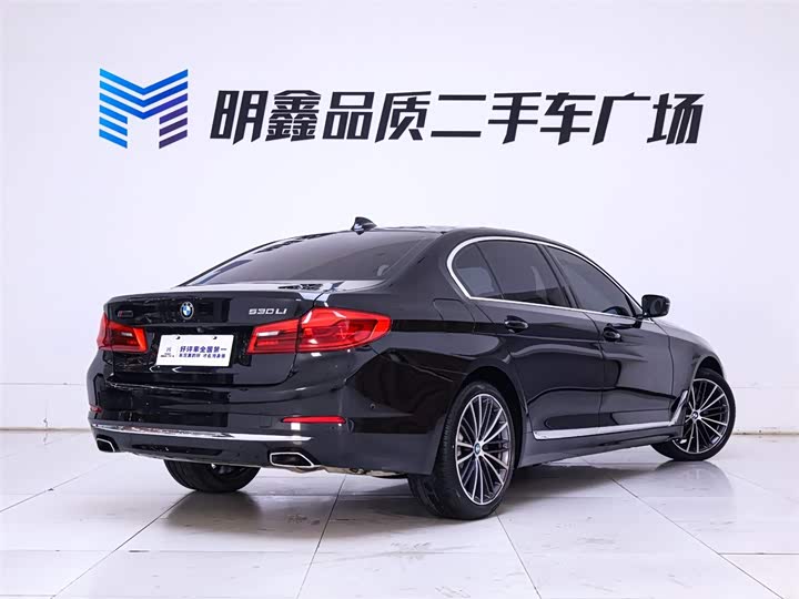 BMW 5-Series 2020 530 Li — фото 7